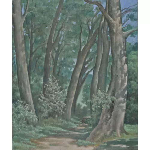 Waldweg