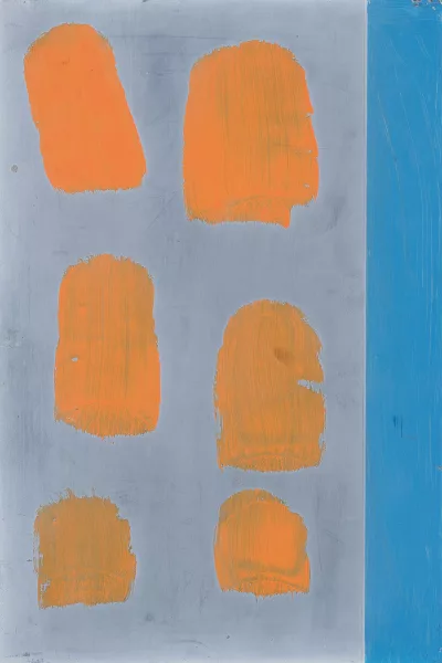 Günther Förg — Schecki