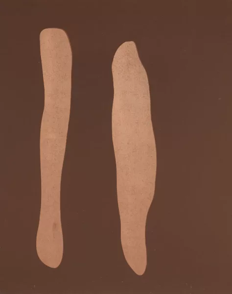 Günther Förg — Mr Green, Mr Orange, Mr Blue and Mr Brown
