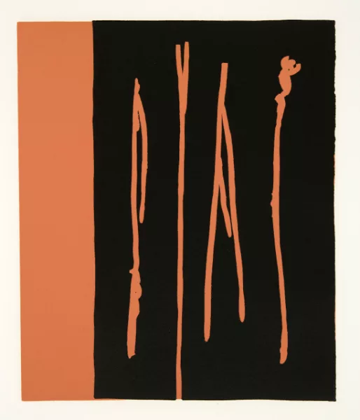 Günther Förg — 25 linogravures Neuchâtel, Éditions Média, 1991