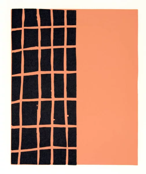 Günther Förg — 25 linogravures Neuchâtel, Éditions Média, 1991
