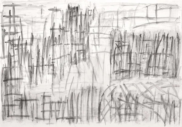 Günther Förg — Engadin, recto/verso, 1996