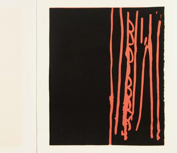 Günther Förg — Buch. 25 Linogravuren, 1991