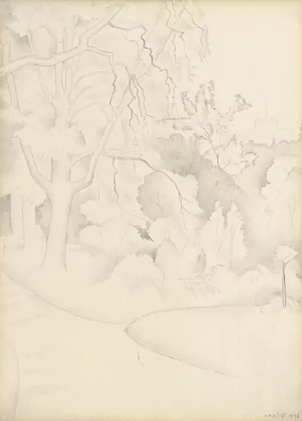 Les arbres