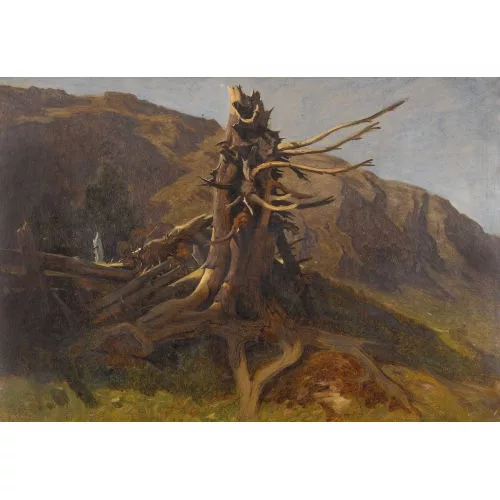 Gustave Castan — Verwitterter Baumstrunk.