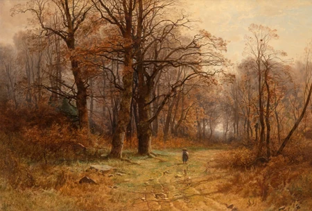 Chemin en lisière de forêt