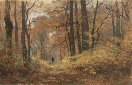 Ballade en forêt
