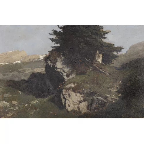 Gustave Castan — "Felsblock mit Arve".