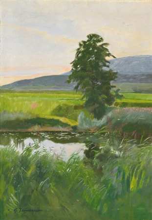 Bord de la Thielle