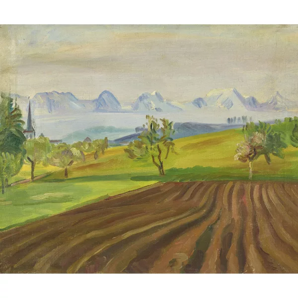 Hanni Bay — Feldlandschaft mit Bergpanorama.