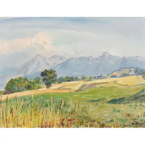 Hanni Bay — Sommerlandschaft mit Niesen und Stockhorn.