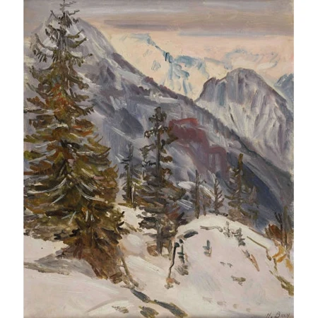Verschneite Berglandschaft