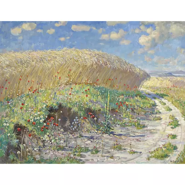 Getreidefeld mit Wiesenblumen auf Grasnarbe