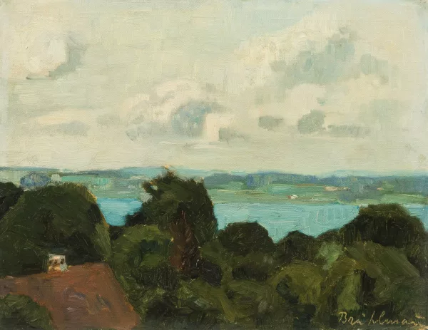 Hans Brühlmann — Blick über den Bodensee", vor 1900