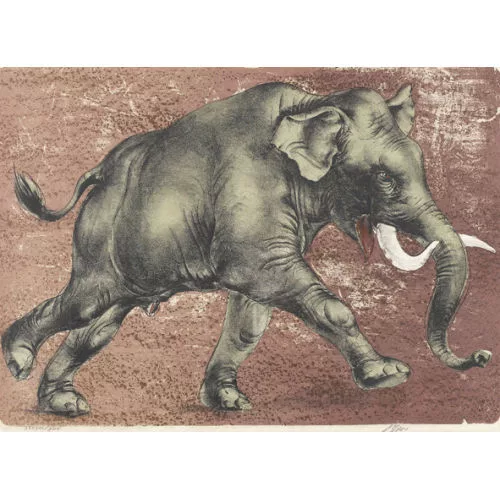 Hans Erni — Elefant.