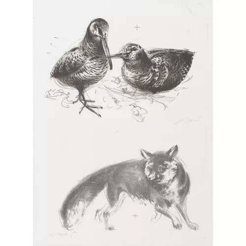 Hans Erni — Tierwelt.