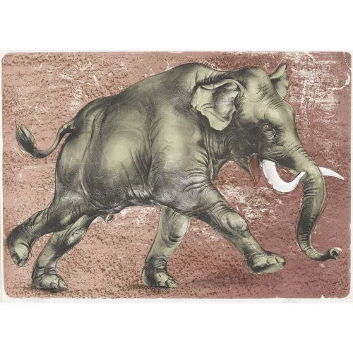 Hans Erni — Elefant.