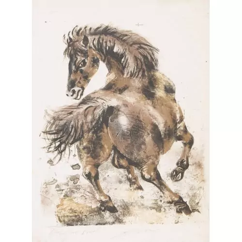 "Pferd"