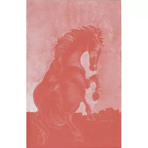 Sich bäumendes Pferd