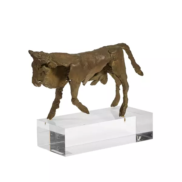 Stier