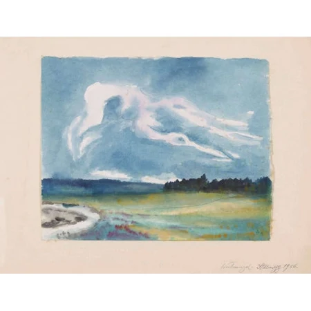 "Wolkenvogel"