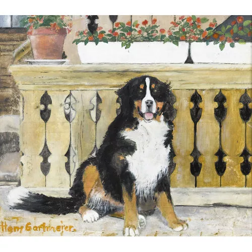 Hans Gartmeier — Berner Sennenhund vor Bauernhof.