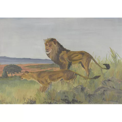 Hans Gartmeier — Löwenpaar in der Savanne.