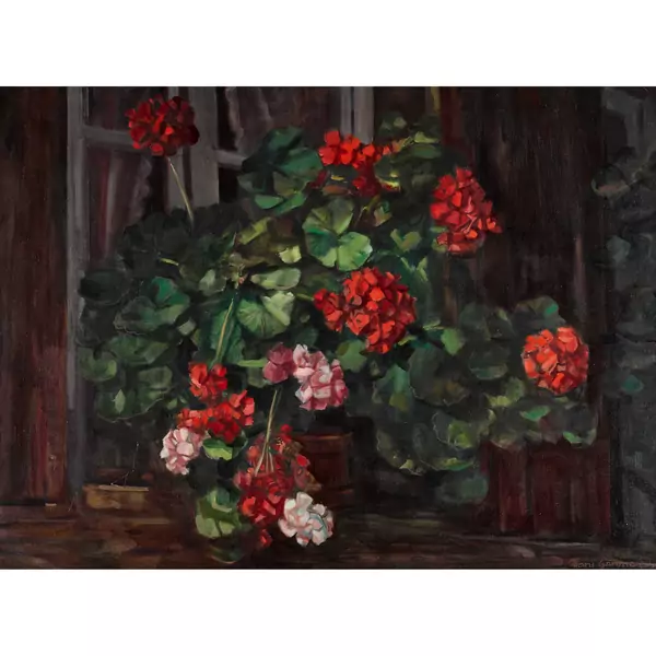 Geranien am Fenstersims