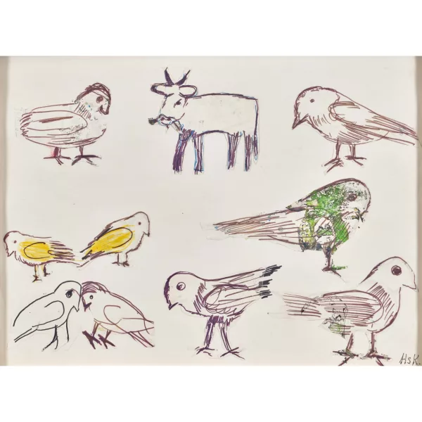 Hans Krüsi — Vögel.