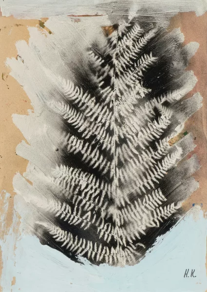 Hans Krüsi — Farn