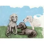 Drei junge Hunde