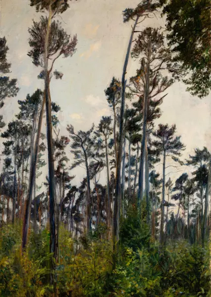 Wald