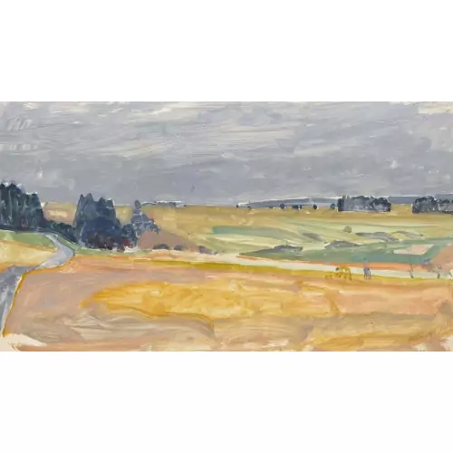 Weite Feldlandschaft