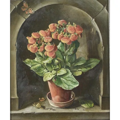 Hans Rudolf Schwarzenbach — Stillleben mit Pantoffelblumen, Schmetterling und Schnecken.