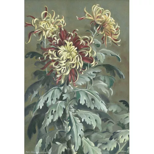 Hans Rudolf Schwarzenbach — Blühende Dahlien.