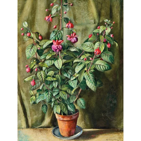 Fuchsien im Topf
