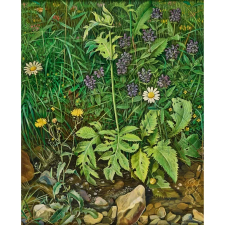 Wiesenblumen am Bach