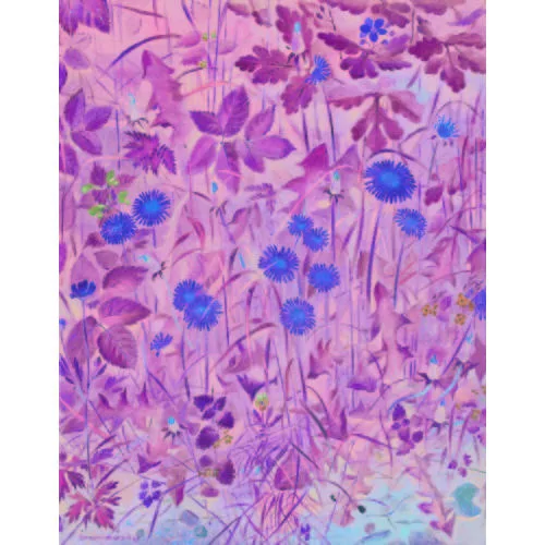 Hans Rudolf Schwarzenbach — Wiese mit Blumen.