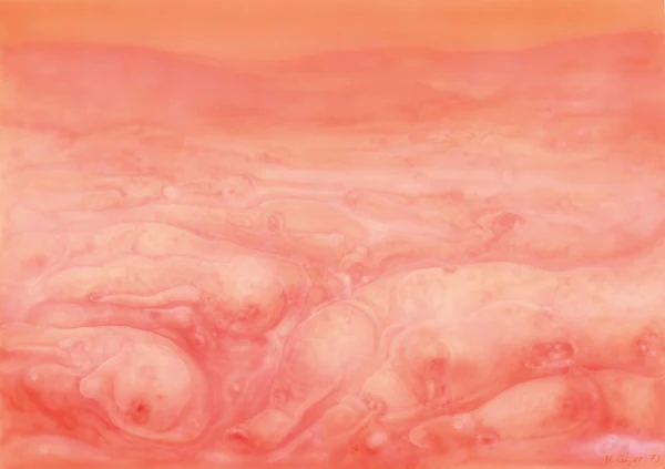 HR Giger — Landscape XXII, 1973