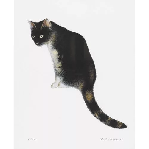Hans Rüttimann — Sitzende Katze.
