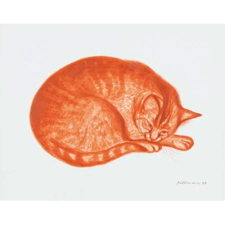 Liegende Katze