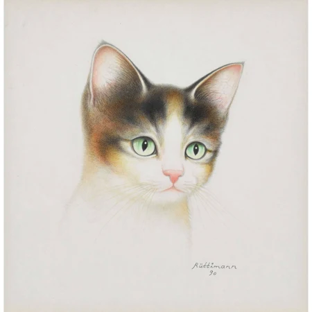 Kleiner Katzenkopf