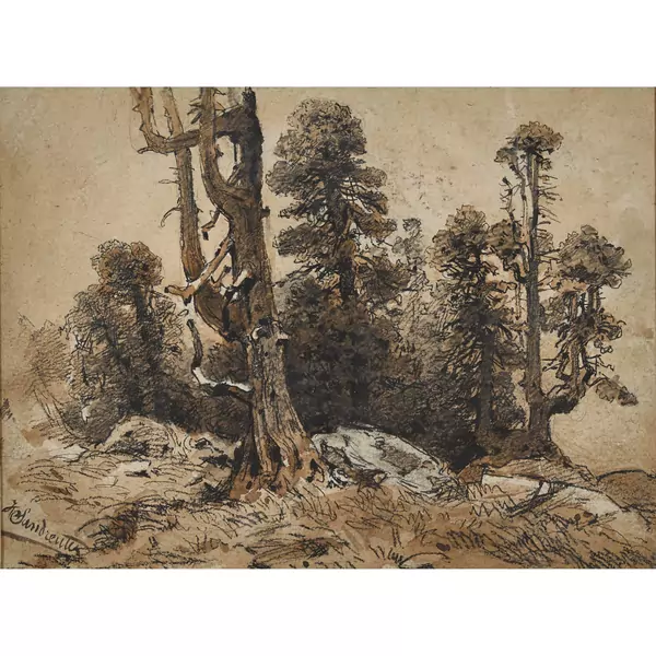 Waldpartie