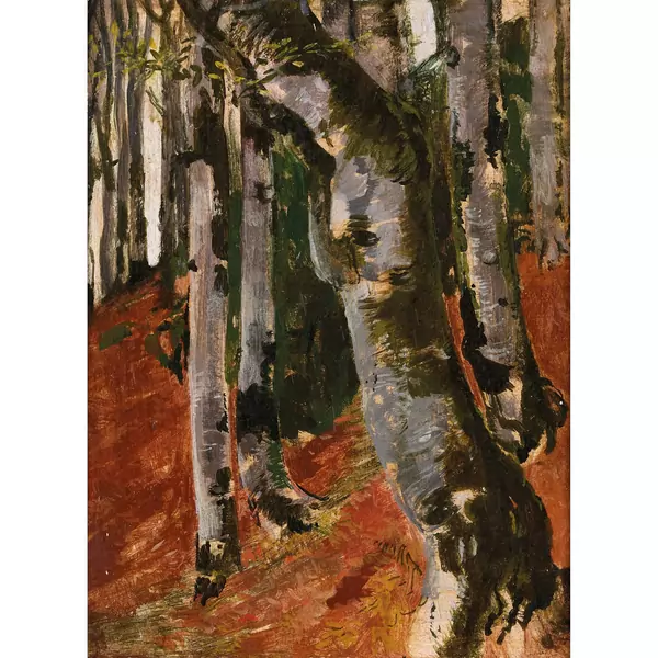 Baumstämme im Wald