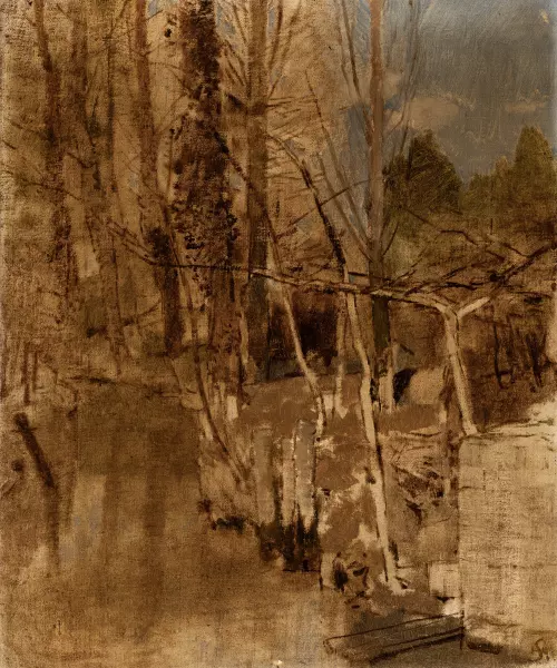 Waldbach mit Bäumen