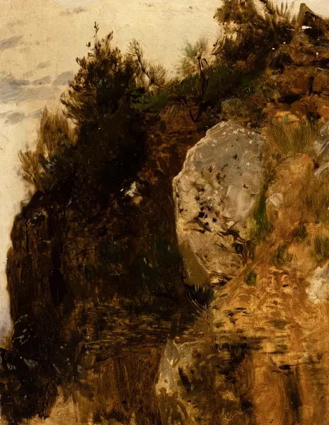 Waldböschung mit Felsen