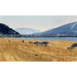 Schweizer Seelandschaft
