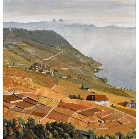 Rebberge im Lavaux