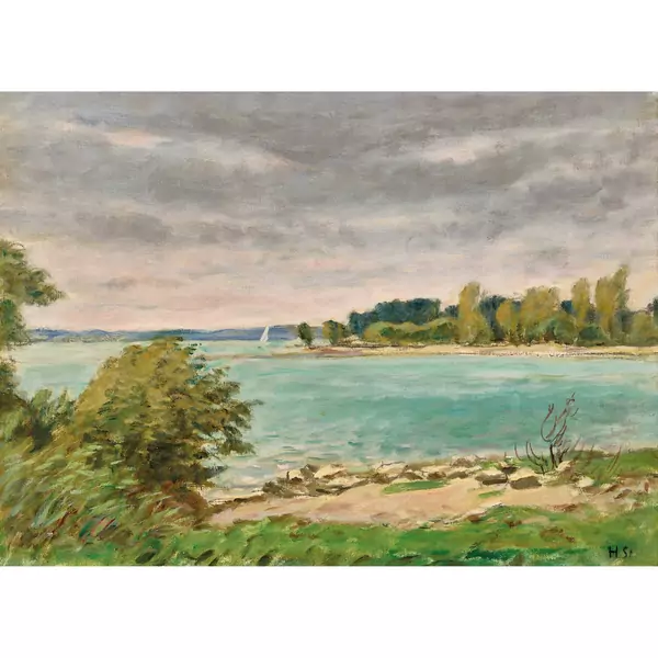 Sommerliche Uferlandschaft