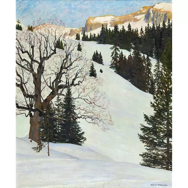 Winterliche Berglandschaft